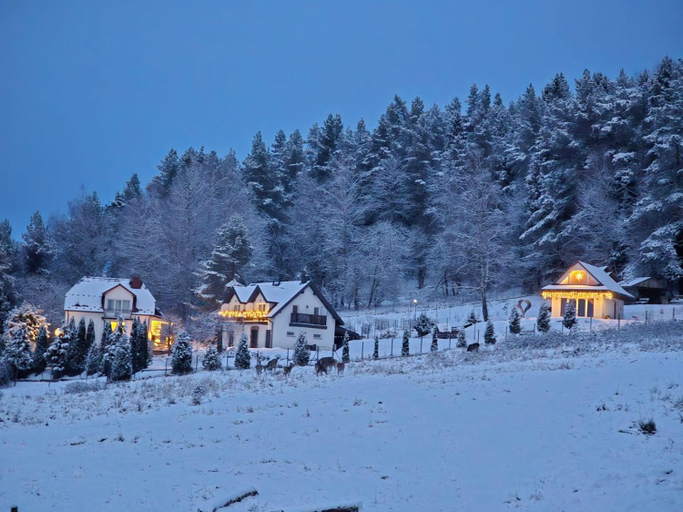 Exterior view 5, Noclegi Panorama - Domek RUSTIC, Bieszczady