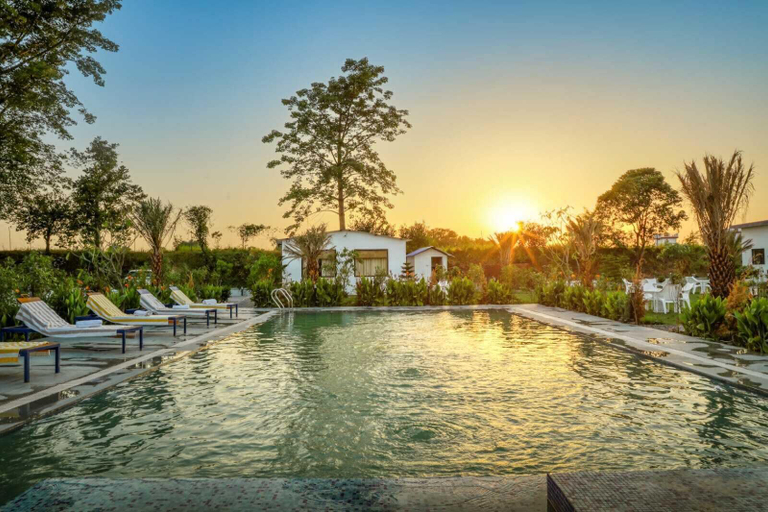 Pool 3, Wild Planet Corbett, Nainital