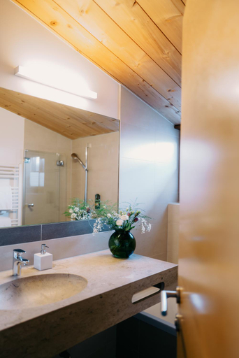 Bathroom 4, Das Tannberg, Bludenz