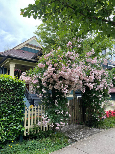 Exterior view 4, Boutique Garden Stay in Downtown Vancouver, Greater Vancouver