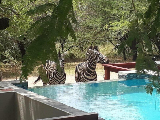 Sport & Beauty 3, Turaco Lodge, Ehlanzeni