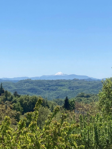 View 4, Madonna della Corte, Reggio Nell'Emilia