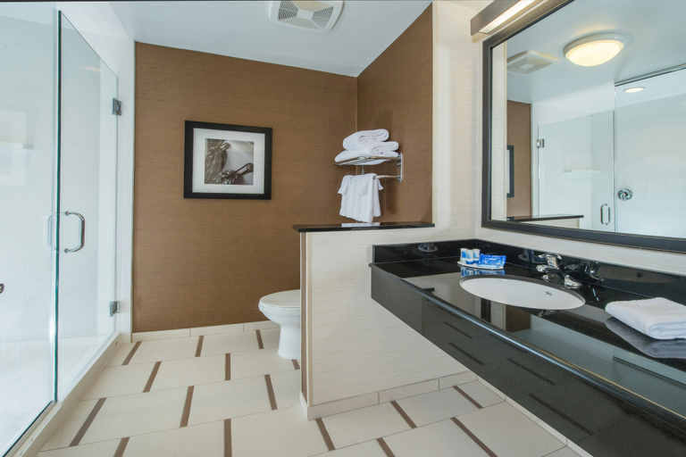 Bathroom, Fairfield Inn & Suites Easton, Talbot