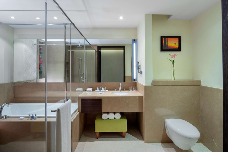 Bathroom 5, Radisson Blu Plaza Hotel Mysore, Mysore