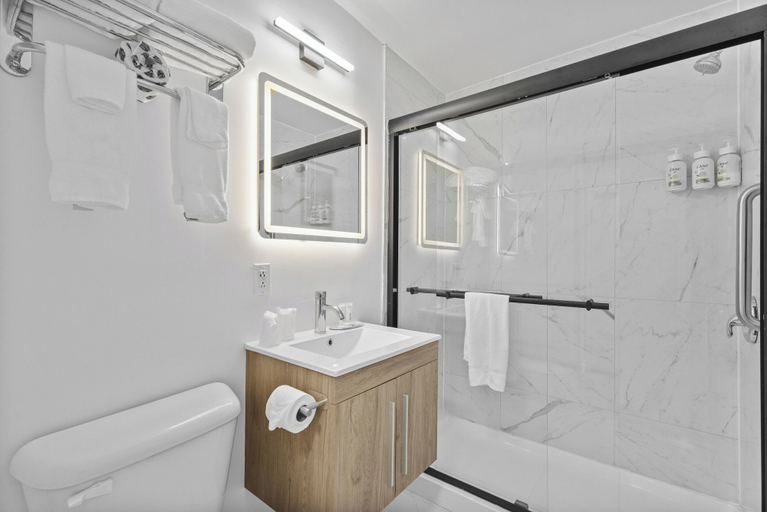 Bathroom 4, Ramada Plaza by Wyndham Montreal, Montréal