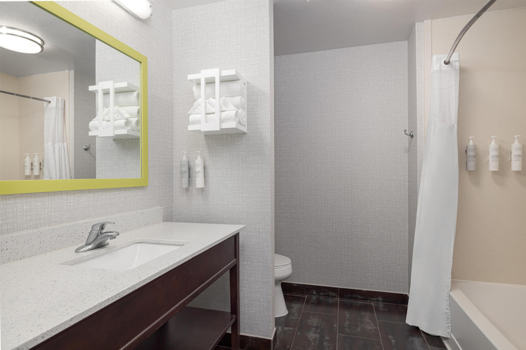 Bathroom 4, Hampton Inn Cotulla, La Salle