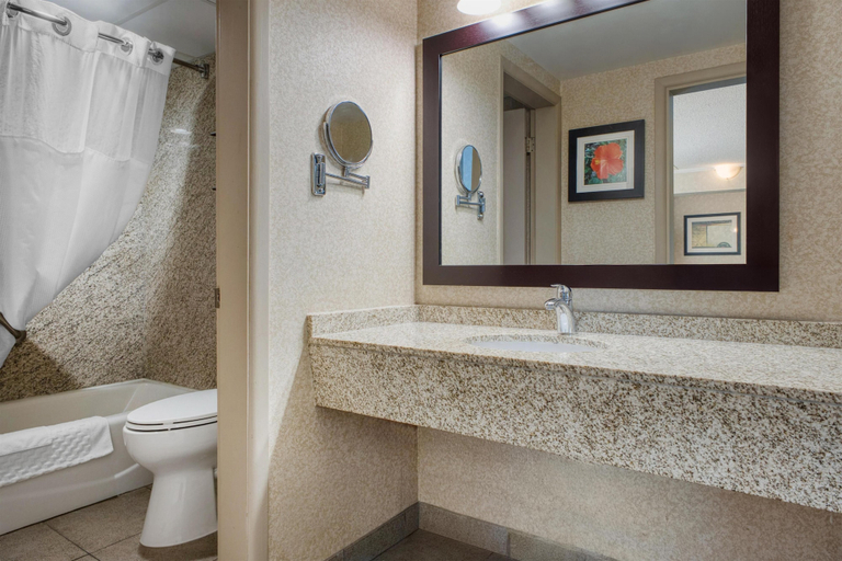 Bathroom 4, Best Western Plus City Centre Inn, Division No. 11