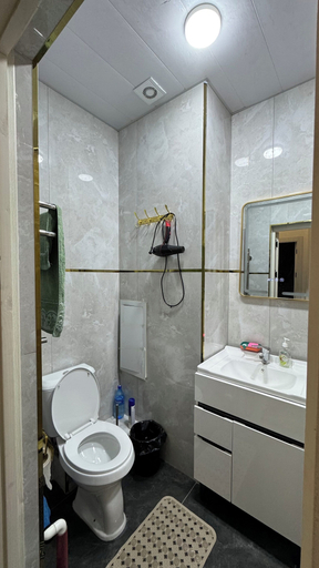 Bathroom 4, Art House, Tashkent City