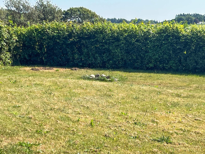 Property grounds, 2 Person Holiday Home in Vra, Hjørring