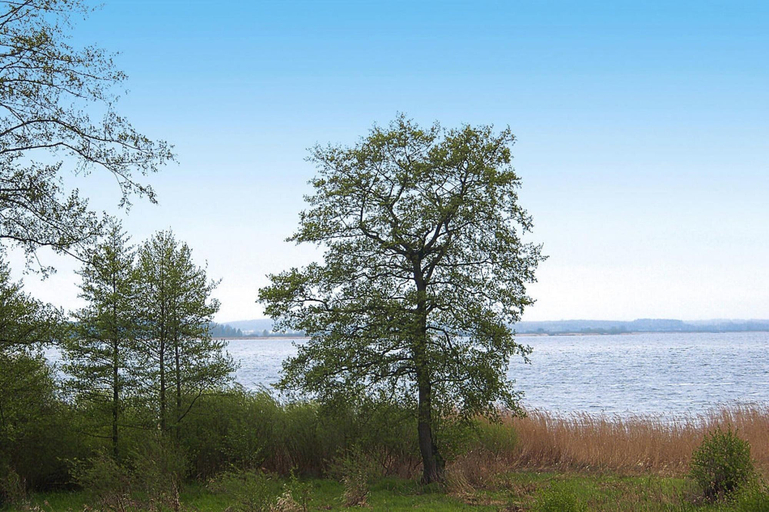 View from property 4, Appartement im Seedomizil Kummerow, Mecklenburgische Seenplatte