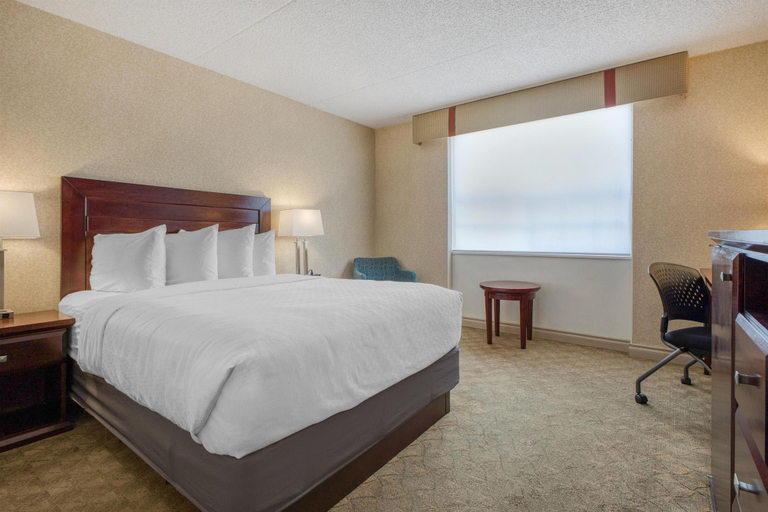 Bedroom 3, Best Western Plus City Centre Inn, Division No. 11