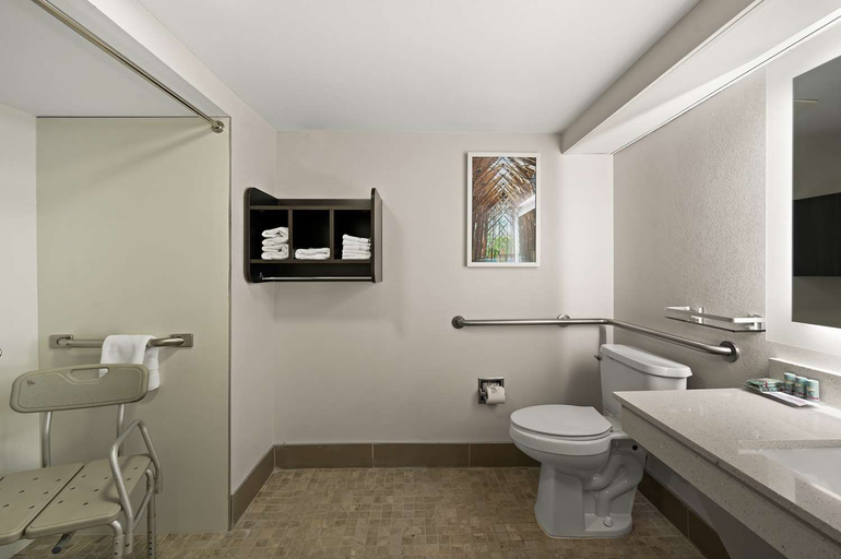 Bathroom 4, Best Western Shackleford , Pulaski