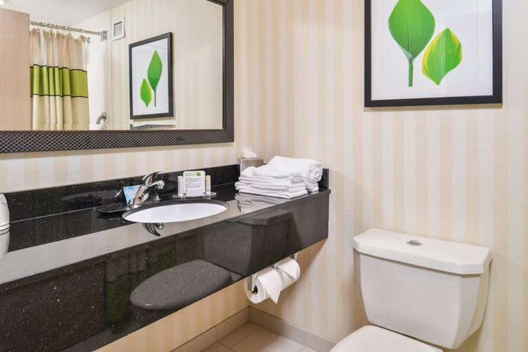 Bathroom 3, Fairfield Inn Marriott Corning, Steuben