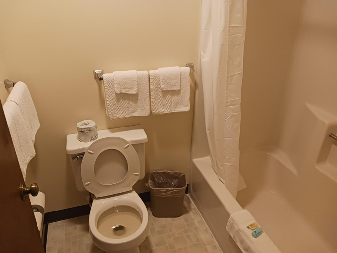 Bathroom 5, Chapel Hill Motel, Mackinac