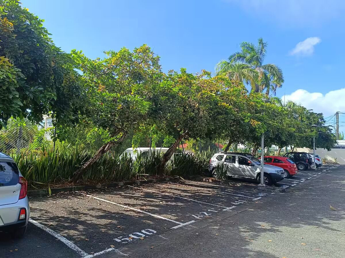 Property grounds 3, La palmeraie Eden Blue by Barbadine, Sainte-Anne