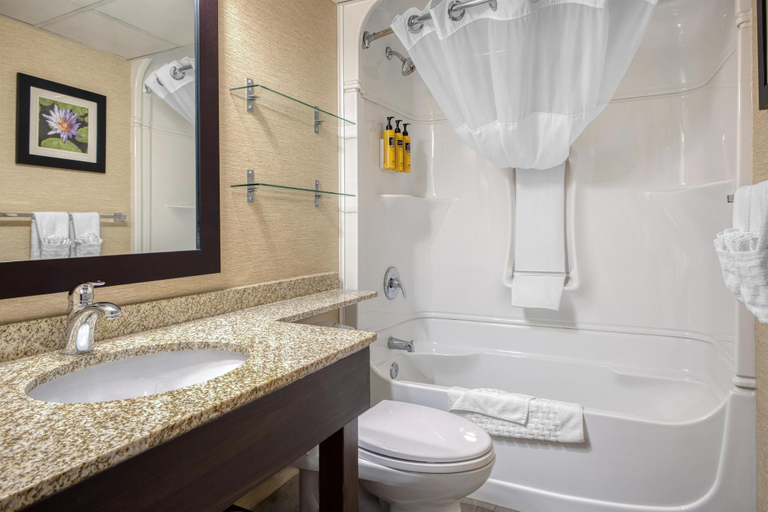 Bathroom 4, Best Western Plus City Centre Inn, Division No. 11