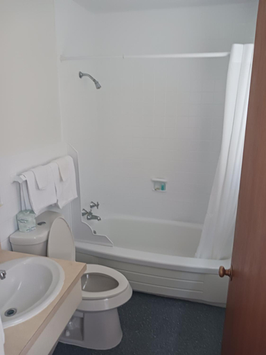 Bathroom 4, Chapel Hill Motel, Mackinac