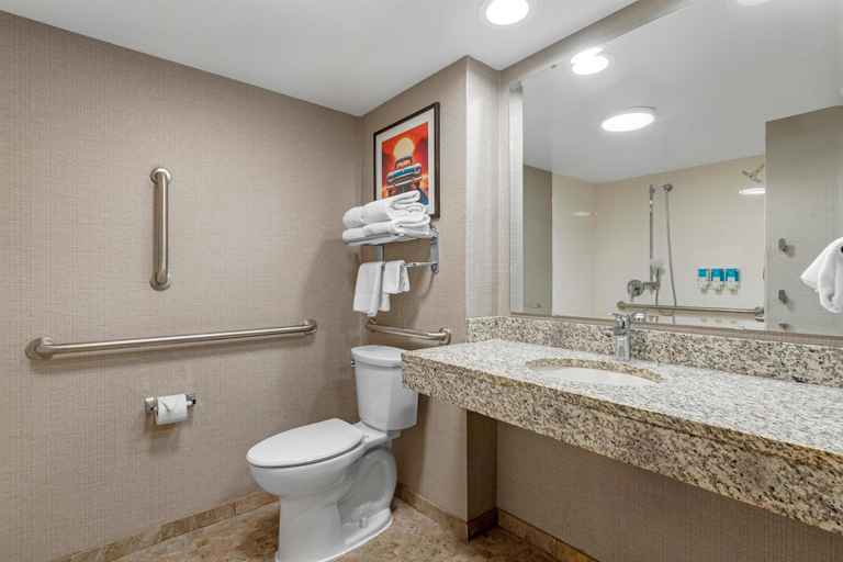Bathroom 4, Drury Inn & Suites Joplin, Newton