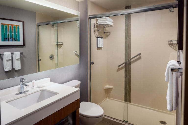 Bathroom, Hyatt Place Sumter / Downtown, Sumter