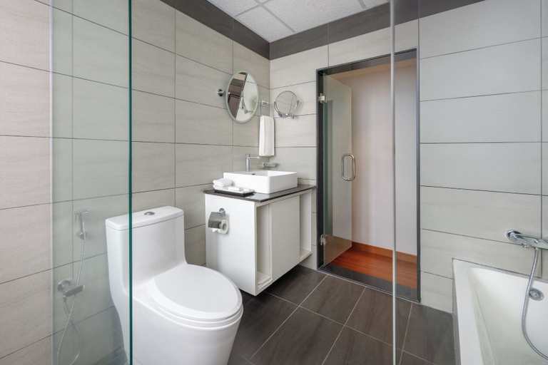 Bathroom 5, Hotel The Kingsbury, Mechi