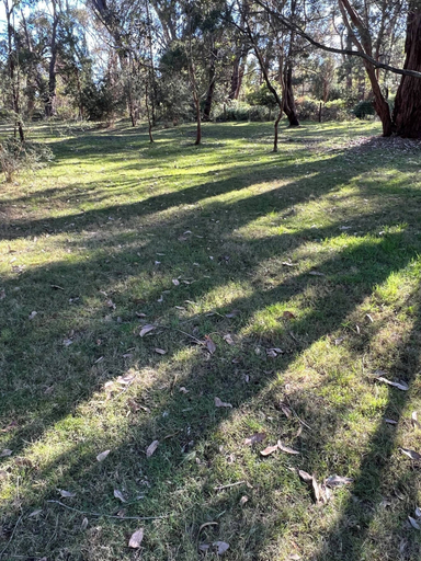 Exterior 3, Kangaroo Bungalow Raymond Island, E. Gippsland - Bairnsdale
