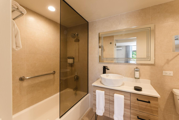Bathroom 5, Wyndham Palmas Beach and Golf Boutique Resort