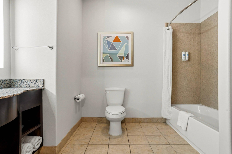 Bathroom 4, Comfort Inn & Suites Scott-West Lafayette, Lafayette