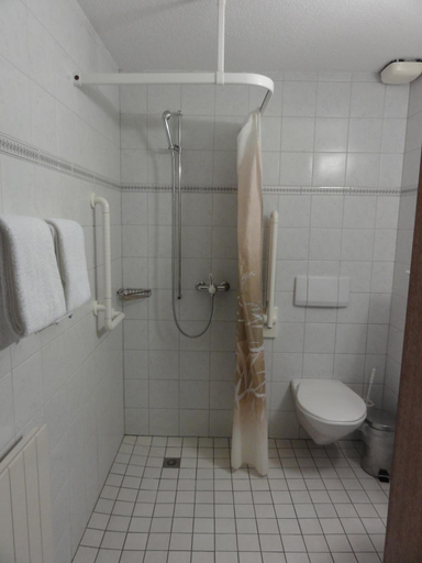 Bathroom 3, Steinbock, Interlaken