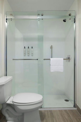 Bathroom 4, Springhill Suites by Marriott Tampa Brandon, Hillsborough