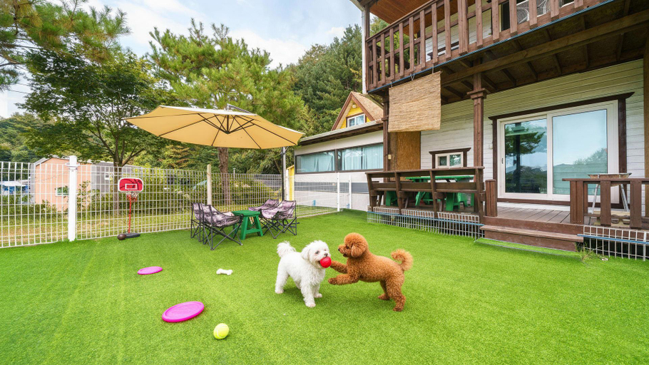 Others 3, Hongcheon byeolkaem kidspulbilla, Chuncheon