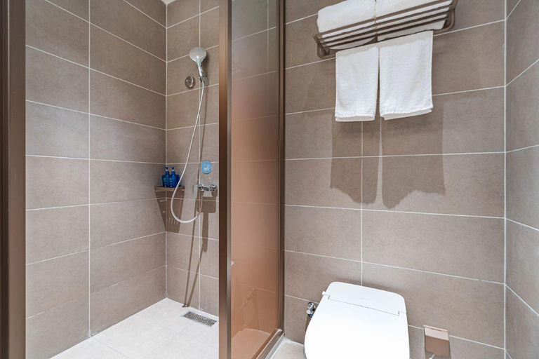 Bathroom, Hanting Hotel Korla Railway Station, Bayin'gholin Mongol