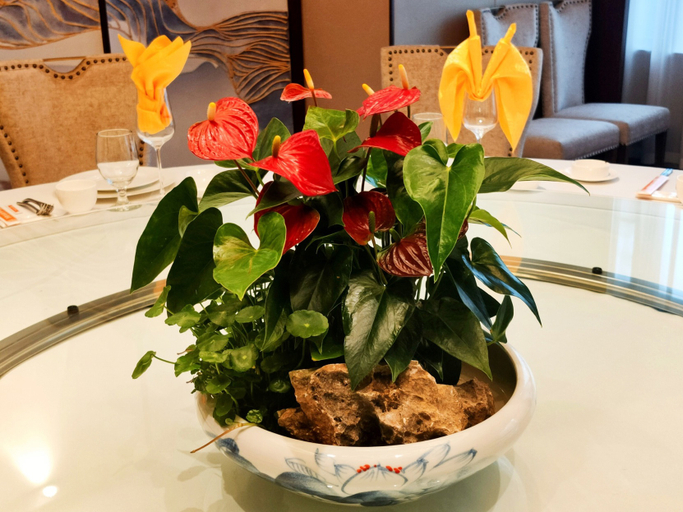 Food & Drinks 4, Jinlin International Hotel, Honghe Hani and Yi