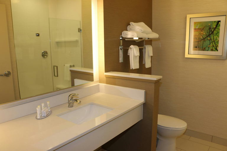 Bathroom, Fairfield Inn & Suites by Marriott Bowling Green, Wood