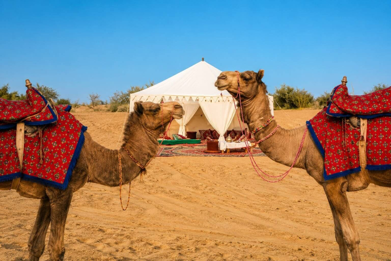 Miscellaneous 4, Elite Family Desert Camp Jaisalmer, Jaisalmer
