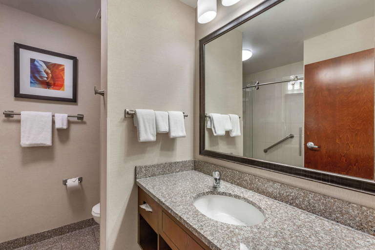 Bathroom 5, Drury Plaza Hotel Phoenix Tempe, Maricopa