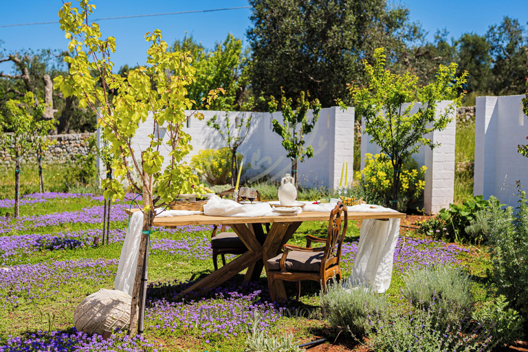 Garden, TD Villa Antonia - Hidden Citrus Retreat, Brindisi