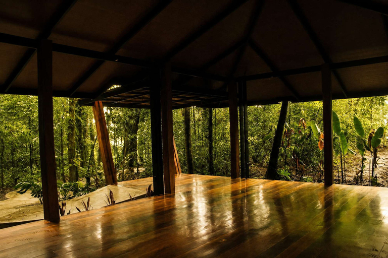 Room 3, Villa Jaguar Nuak Jungle, San Carlos