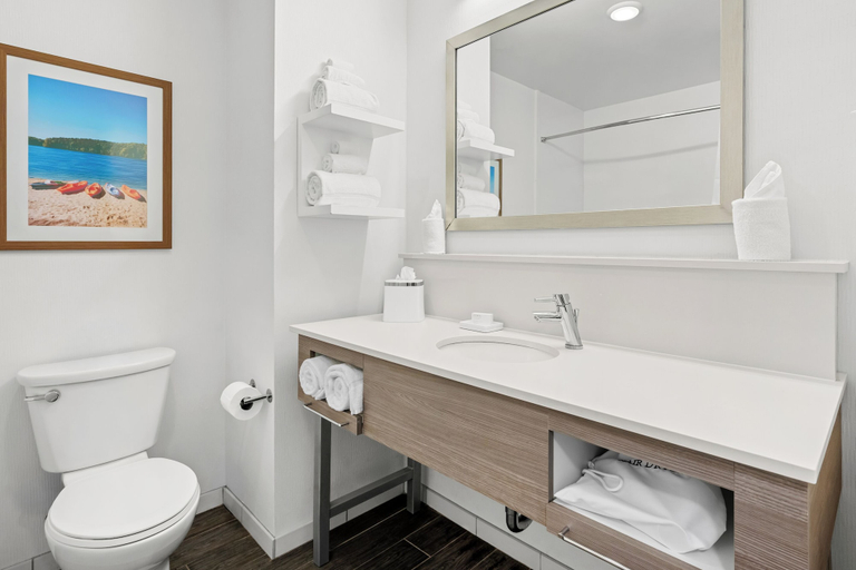 Bathroom 3, Hampton Inn & Suites Knightdale Raleigh, Wake
