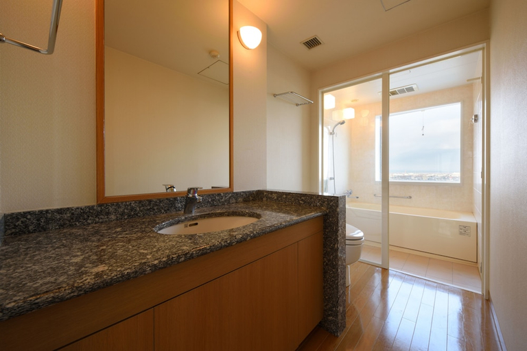 Bathroom, GRAND HOTEL NEW OJI, Tomakomai