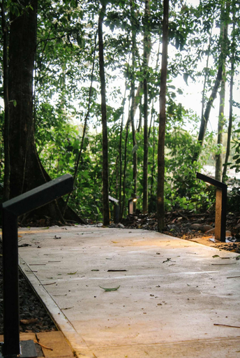 Room 5, Villa Jaguar Nuak Jungle, San Carlos