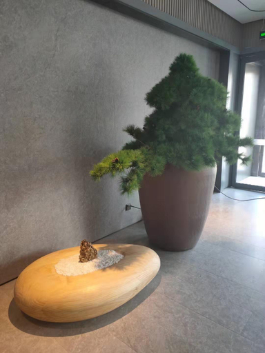 Food & Drinks 5, JI Hotel (Gu'an Daxing Airport), Langfang