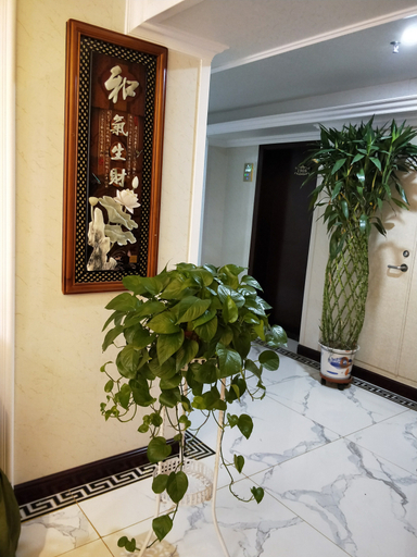 Others 4, Xining Hongwei Hotel (Haihu Wanda Plaza Branch, Xining), Xining