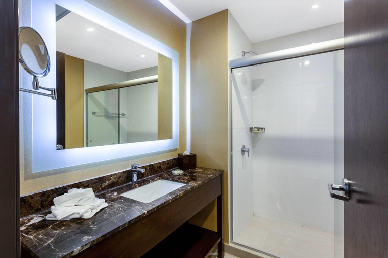 Bathroom 4, Wyndham Torreon, Torreón