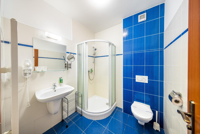 Bathroom 4, Hotel Zavis Z Falkenstejna, České Budějovice