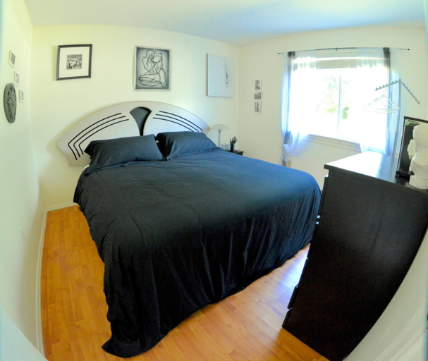 Primary image, Cozy 2 Bedroomed Gfl Suite in Lovely Wilsons Creek, Sunshine Coast