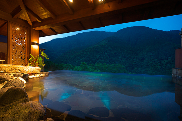Sport & Beauty 2, Hakone Ginyu, Hakone