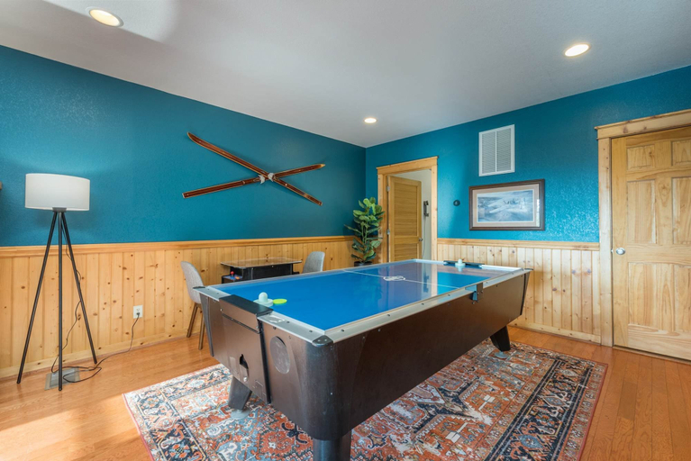 Room 5, The Skybox - Voted 1 Cabin in Asheville, Madison
