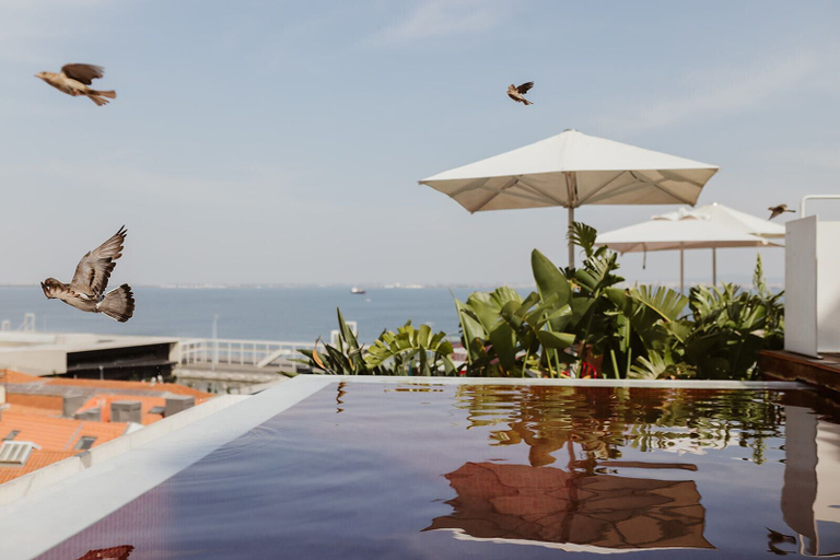 Sport & Beauty 2, Memmo Alfama - Design Hotels, Lisbon
