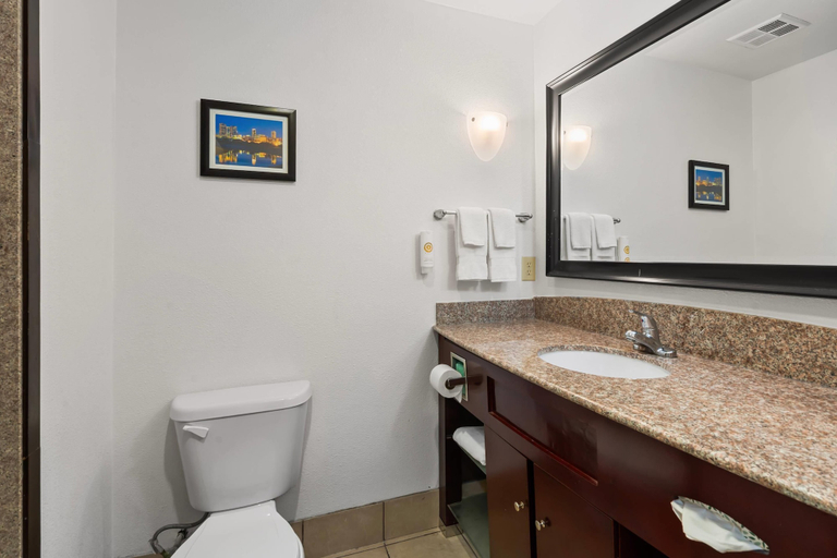 Bathroom 4, Comfort Suites Lake Worth, Fort Worth