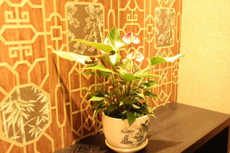 Others 4, Home Inn & Suites (Beilun Huashan Road), Ningbo